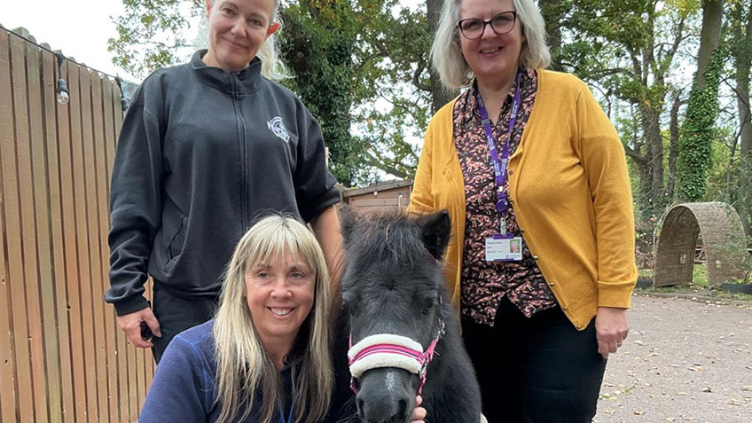 
Three smiling people standing next to a black pony wearing a pink and white halter in an outdoor setting with trees and fencing.
